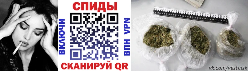 МЕГА как войти  Медынь  БУТИРАТ BDO 