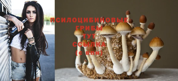 марихуана Белокуриха