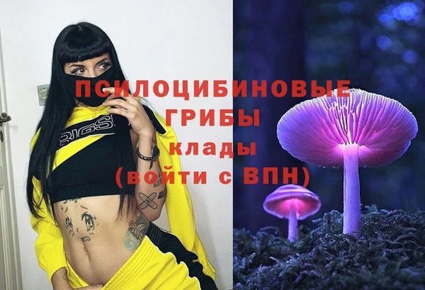 каннабис Богородицк