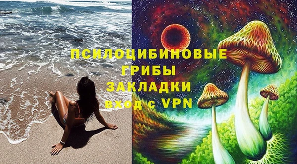 амф Белоозёрский