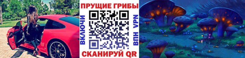 Галлюциногенные грибы Psilocybine cubensis  Медынь 